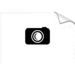 Romarin Barche Rc Felice Hunter R / C